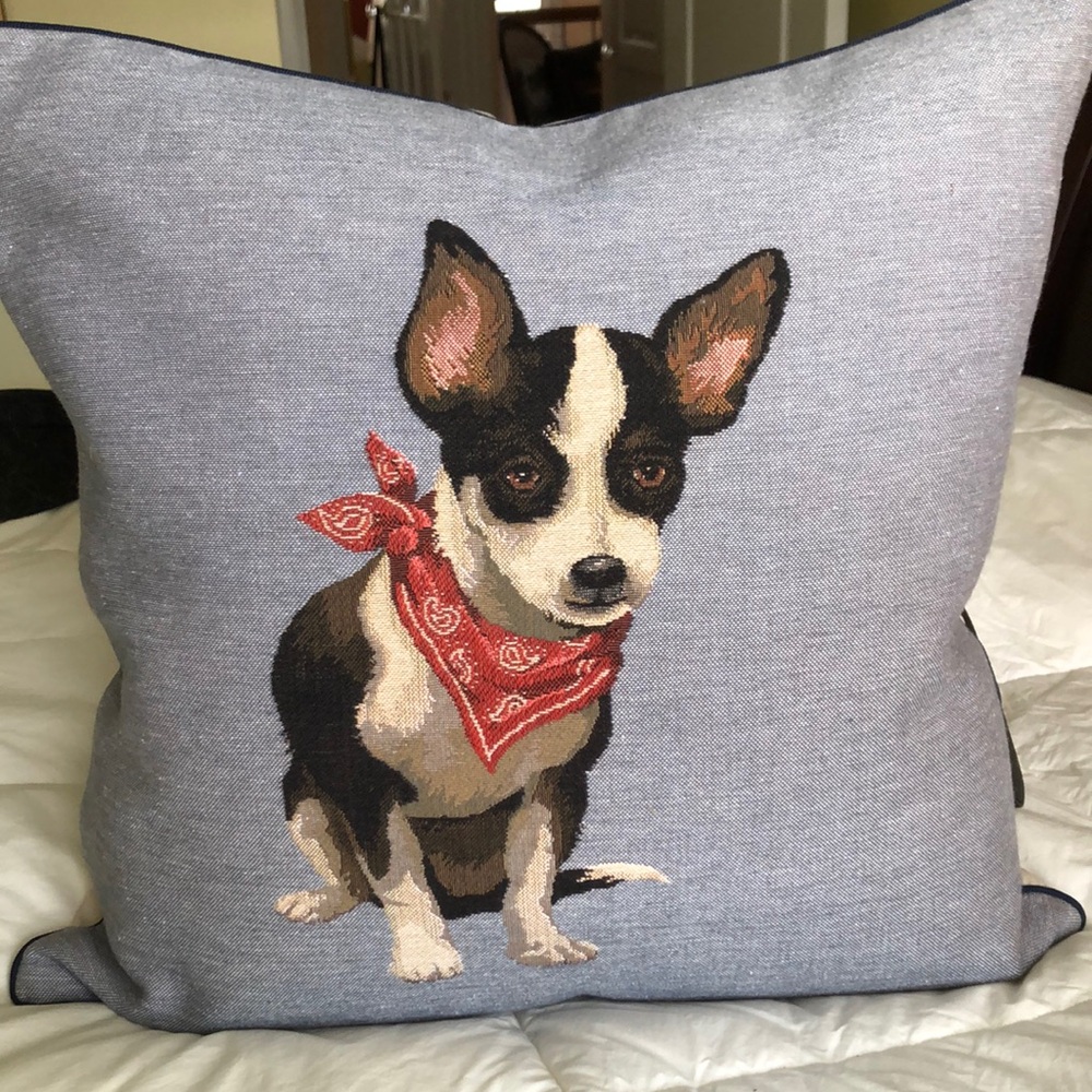 Black and White Dog with Red Bandanna Sq Accent Pillow